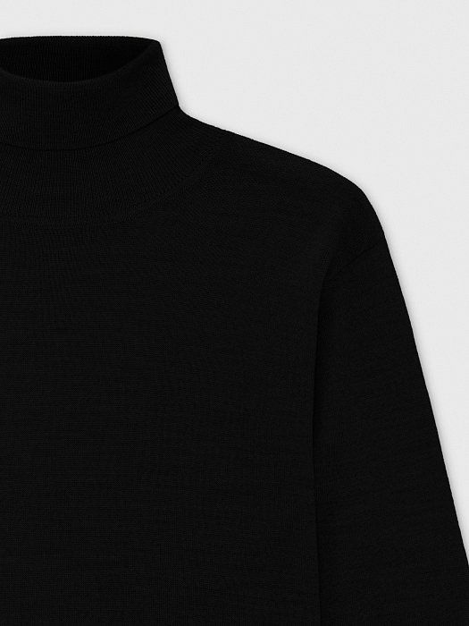 Merino wool turtleneck 428120092-167