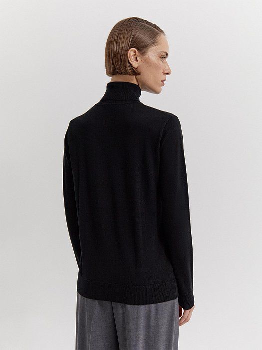 Merino wool turtleneck 428120092-167