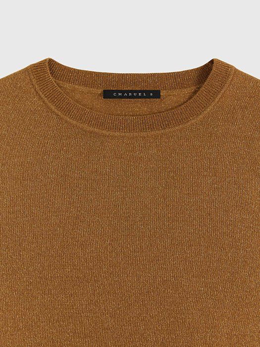 Merino wool sweater with lurex 435720281-667